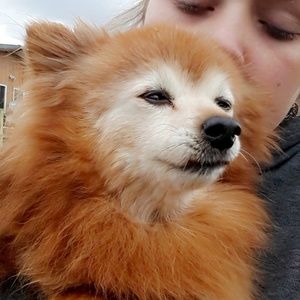 Meet your Posher, Rae